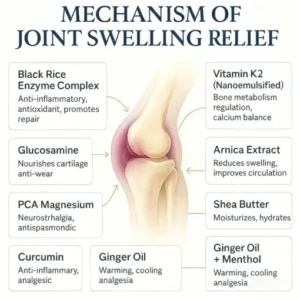 LOVILDS® Black Rice Pain Healing Bone Cream