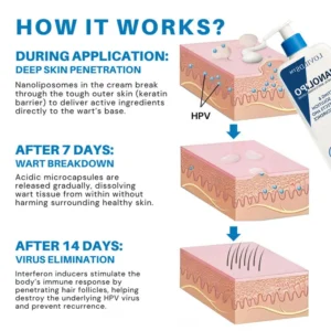 💥LOVILDS™NanoLipo HPV Genital Warts Eraser Cream🌿