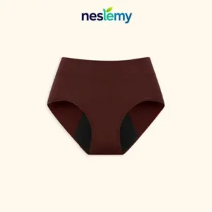 NESLEMY™ 100%Leak-Proof Underwear 4-pack | 🎄 Christmas Final Sale — LAST CHANCE! 🎅 🔥 70% OFF Ends Today