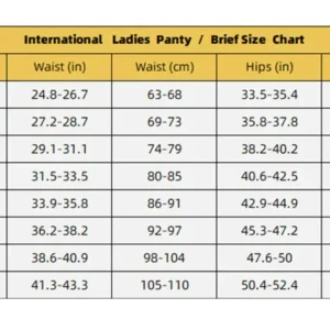 NESLEMY™ 100%Leak-Proof Underwear 4-pack | 🎄 Christmas Final Sale — LAST CHANCE! 🎅 🔥 70% OFF Ends Today