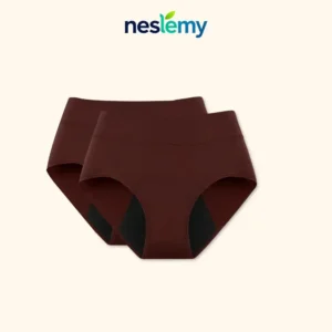 NESLEMY™ 100%Leak-Proof Underwear 4-pack | 🎄 Christmas Final Sale — LAST CHANCE! 🎅 🔥 70% OFF Ends Today